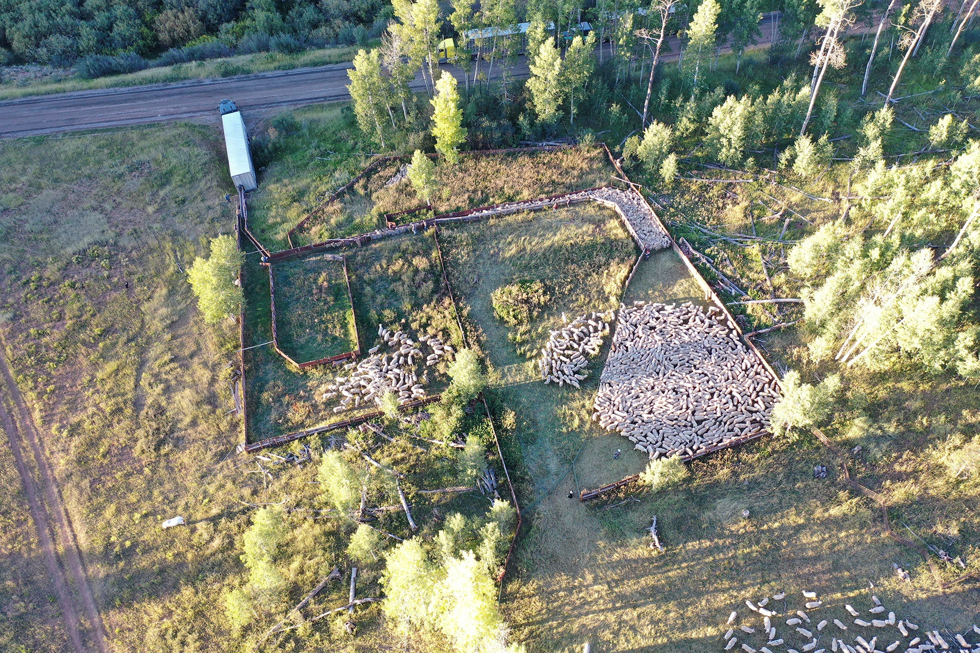 corral